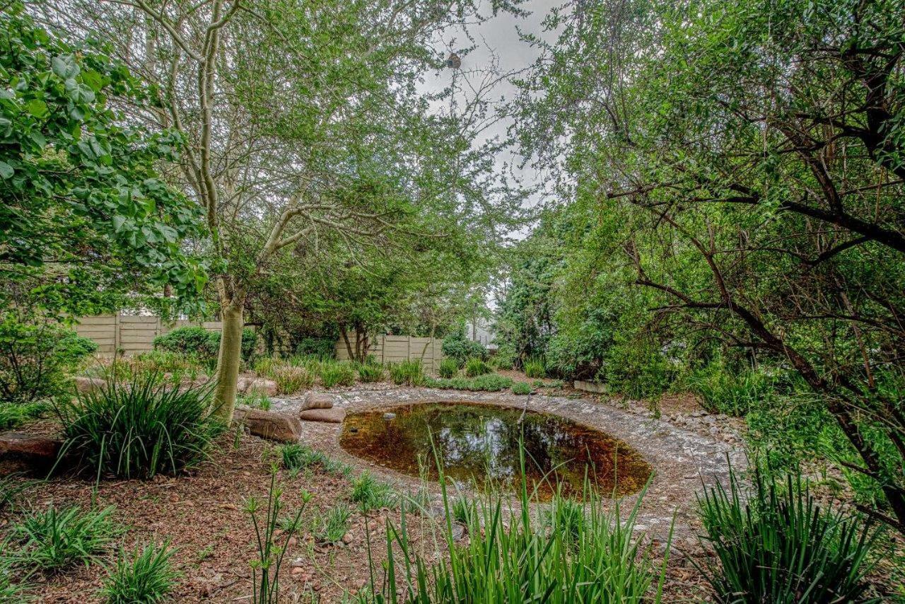 Wild Olive Executive Suite Johannesburg Exterior photo