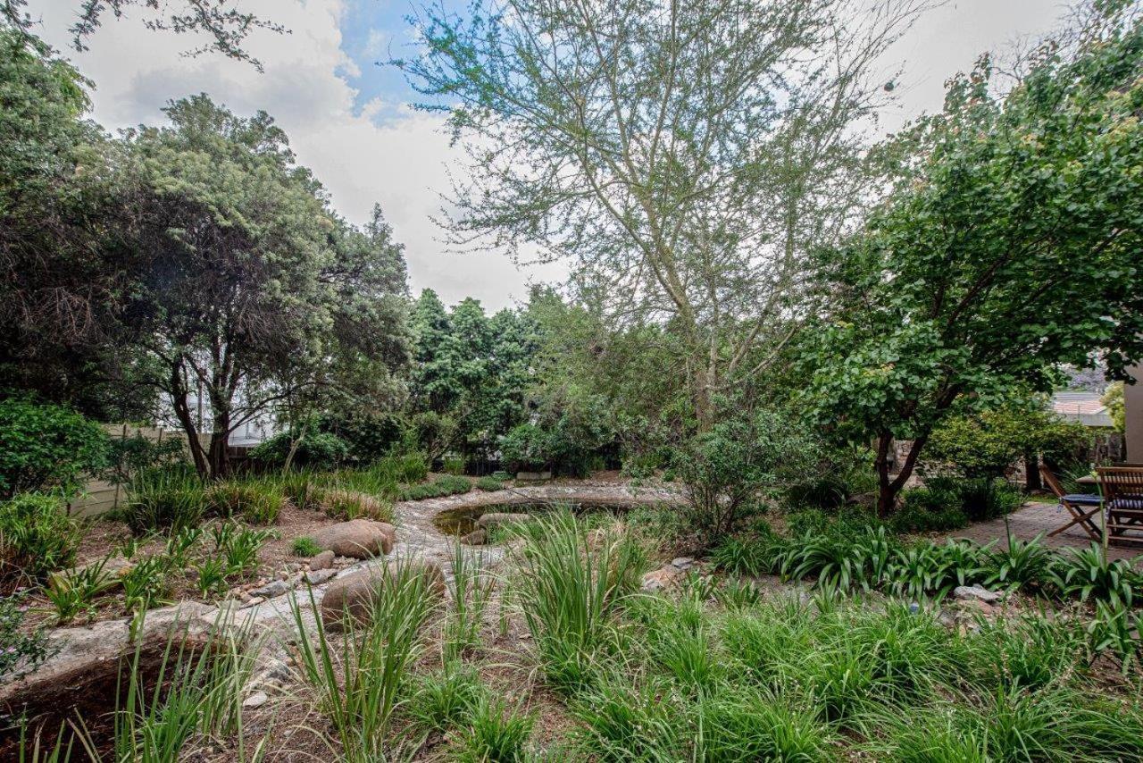 Wild Olive Executive Suite Johannesburg Exterior photo