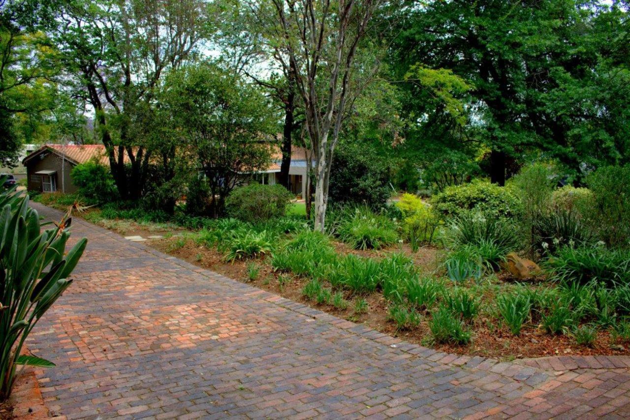 Wild Olive Executive Suite Johannesburg Exterior photo